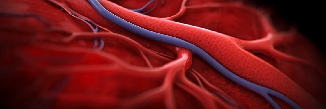 медицинская иллюстрация сосудов